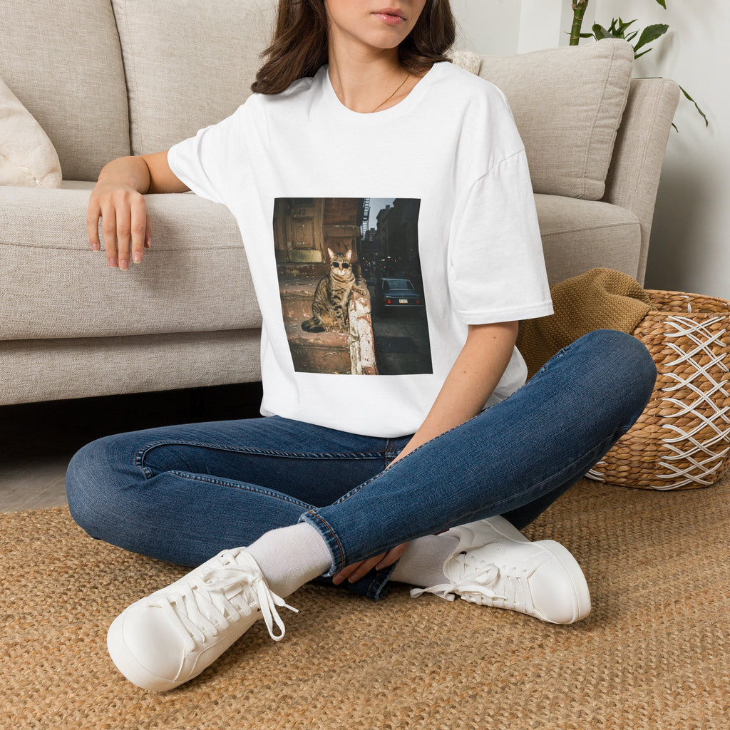 Cool Cat — Funny Cat in Sunglasses T-Shirt | Vintage Retro Graphic Tee