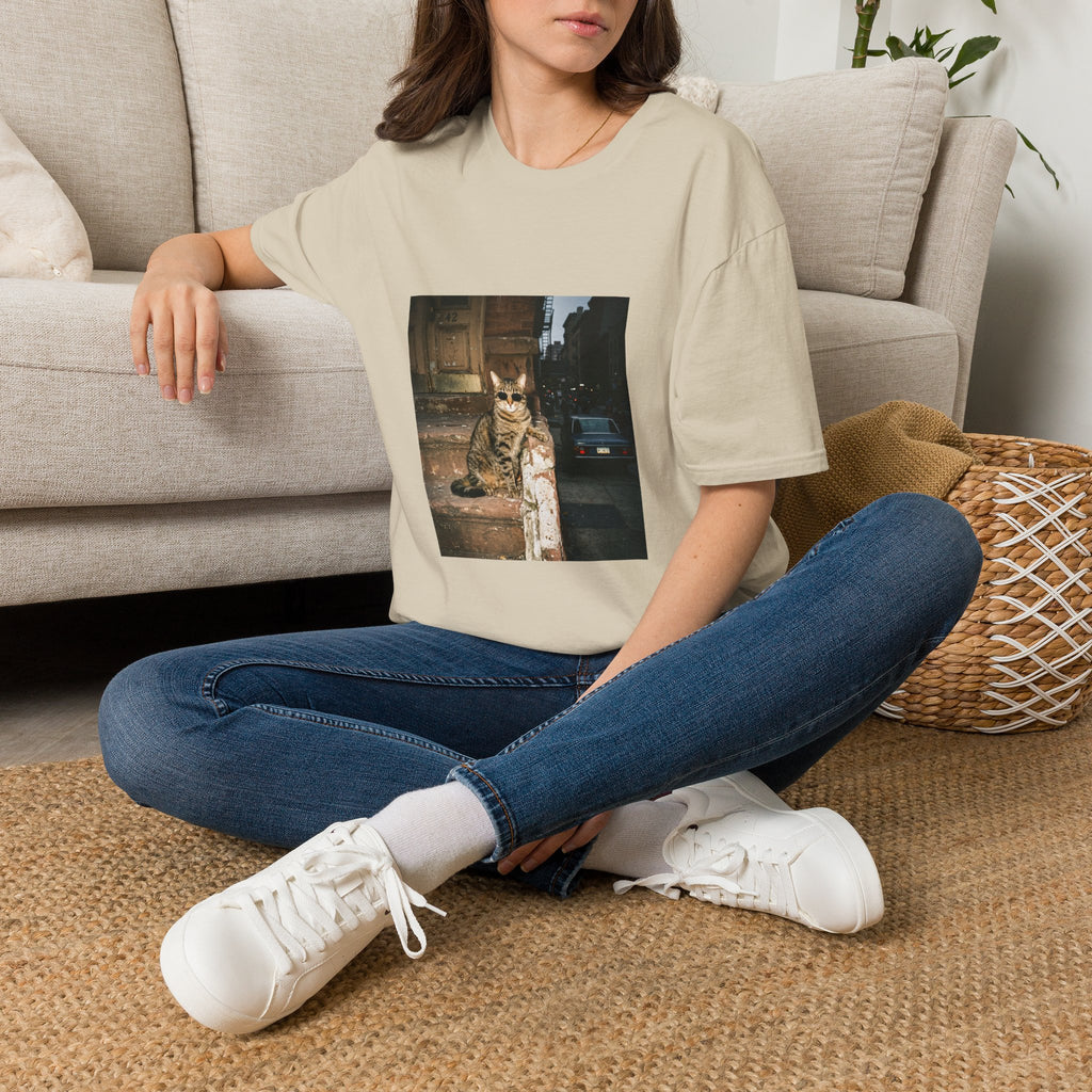 Cool Cat — Funny Cat in Sunglasses T-Shirt | Vintage Retro Graphic Tee