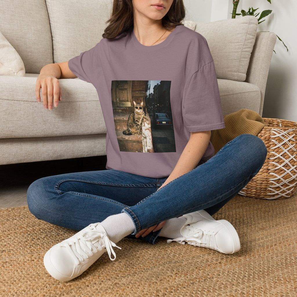 Cool Cat — Funny Cat in Sunglasses T-Shirt | Vintage Retro Graphic Tee